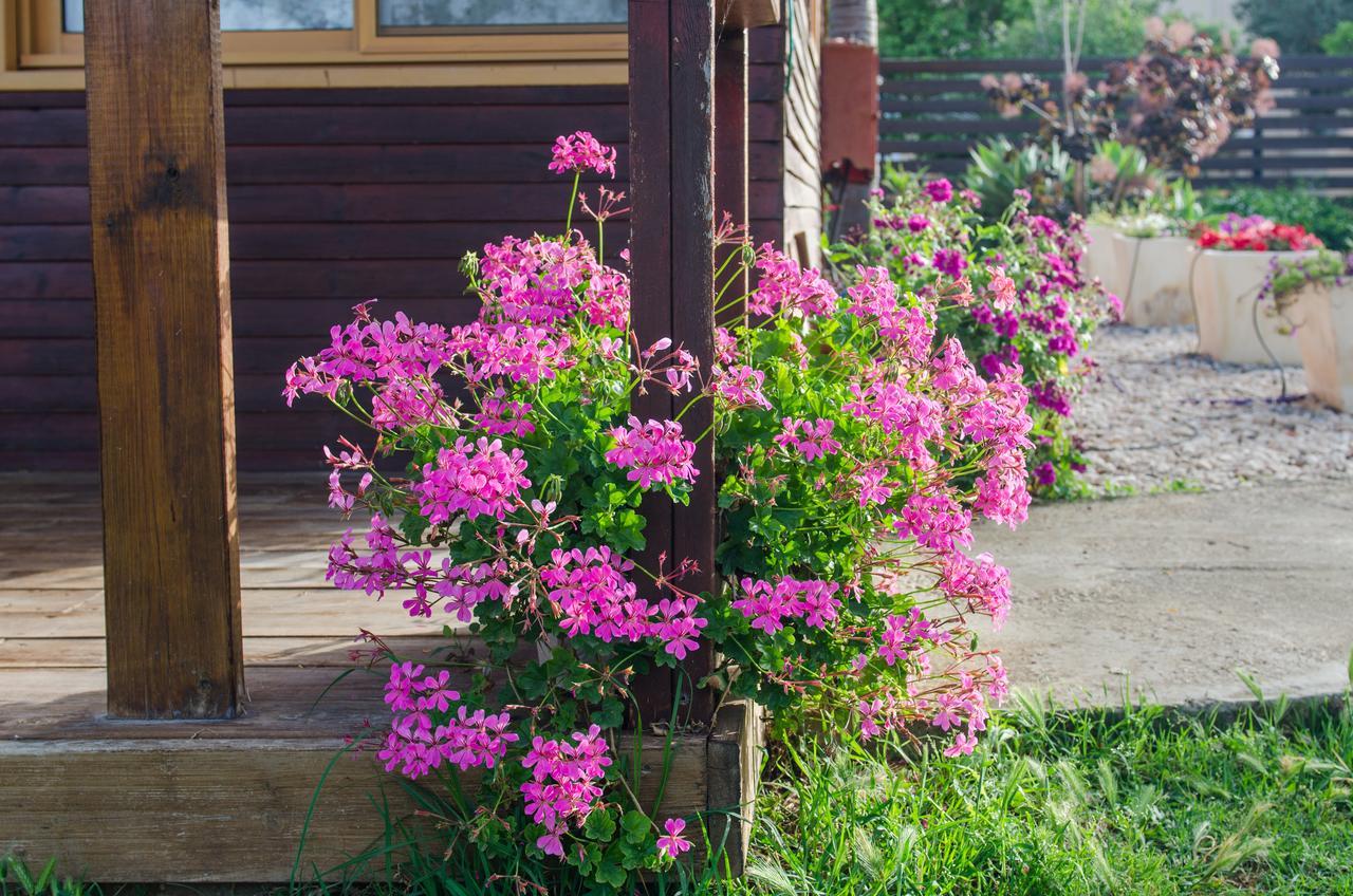 Tal Nof Cabins Villa Manot Екстериор снимка