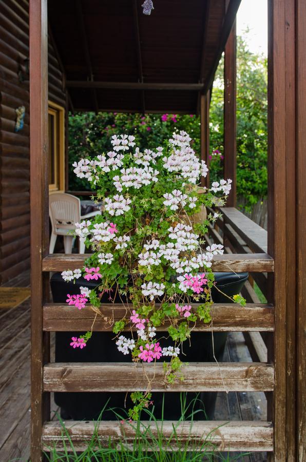 Tal Nof Cabins Villa Manot Екстериор снимка